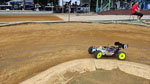 Click the picture for larger photo!